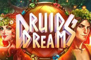 Druids Dream - Spin City - Namibia