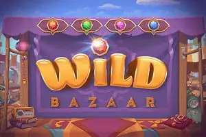 Wild Bazaar - Spin City - Namibia
