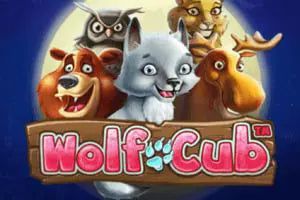 Wolf Cub - Spin City - Namibia