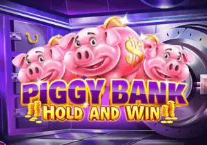 Piggy Bank - Spin City - Namibia