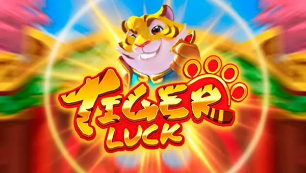 Tiger Luck - Spin City - Namibia
