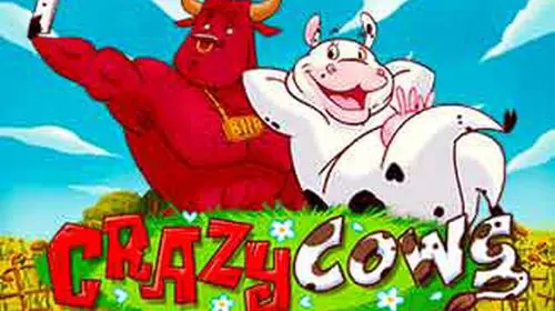 Crazy Cows