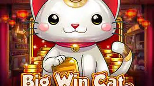 Big Win Cat