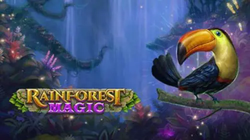 Rainforest Magic