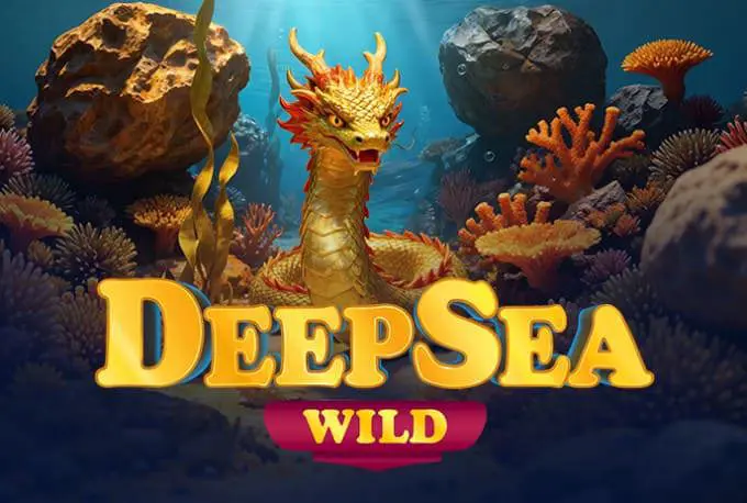 Deep Sea Wild - Spin City - Namibia