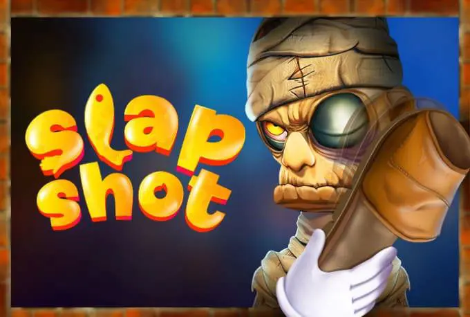 Slap Shot - Spin City - Namibia