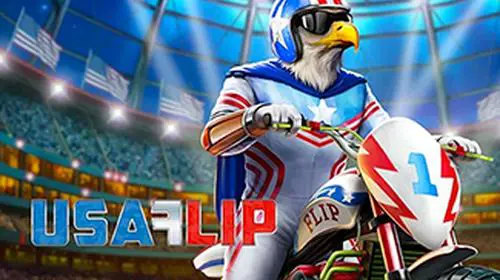 USA Flip