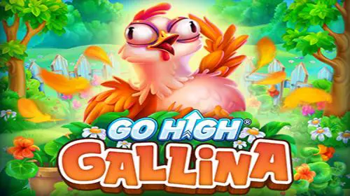 Go High Gallina