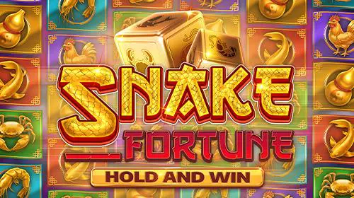 Snake Fortune Hold and Win